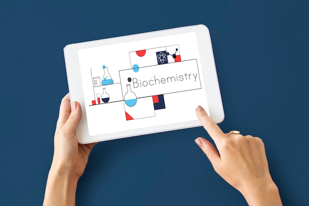 Modern mobile UI design flow built by an expert app development company